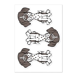 Könnte beinhalten: Drei Cartoon-Illustrationen eines Deutsch Kurzhaar-Hundes in verschiedenen Posen. Der Hund ist braun und weiß mit schwarzen Flecken. Der Hund schaut in jeder Illustration nach oben.