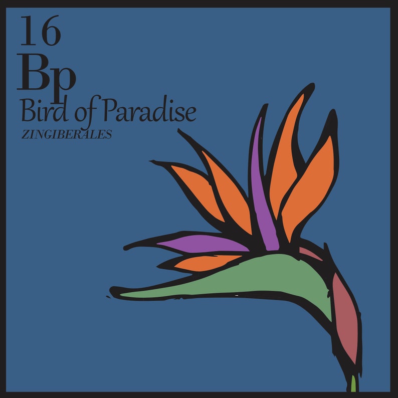 Periodic Table of Flowers Poster image 6