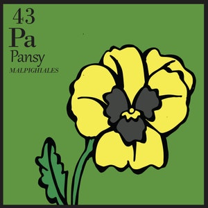 Periodic Table of Flowers Poster image 4