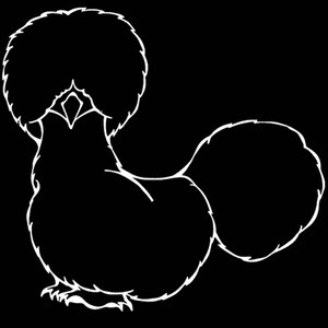 Silkie Bantam Chicken Decal Window Sticker