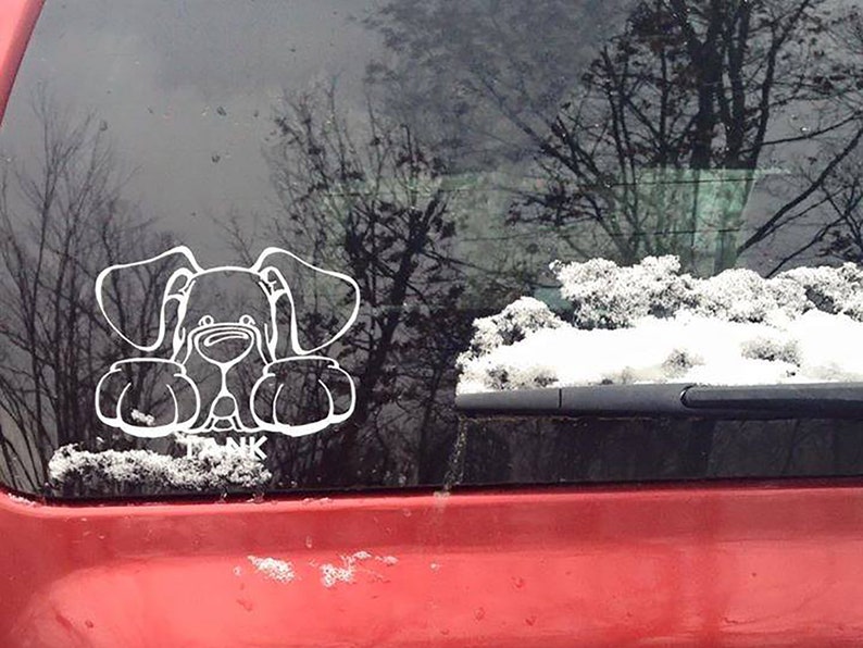 MYSTERY Decal Dog & Cat Packs, with FREE SHIPPING image 9