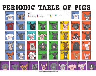 Periodic Table of Pigs Poster