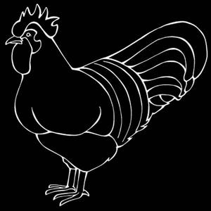 Plymouth Rock Chicken Decal Window Sticker