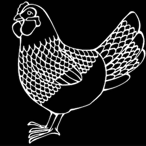 Wyandotte Chicken Decal Window Sticker