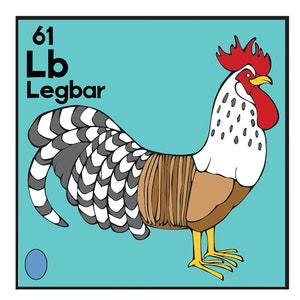 Periodic Table of Chickens Poster image 3