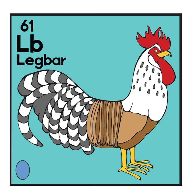 Periodic Table of Chickens Poster image 3
