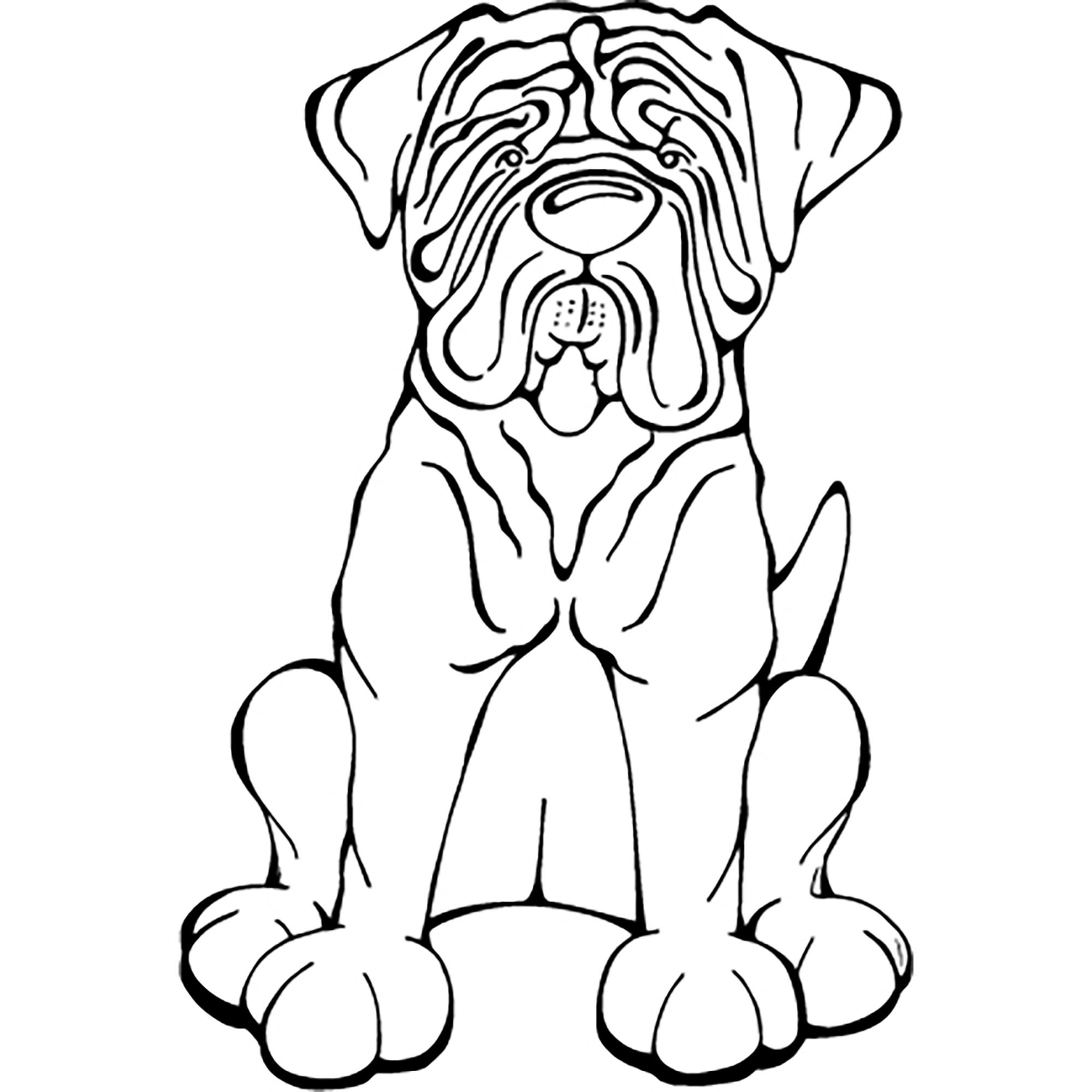 Dogue Template Dogue Template