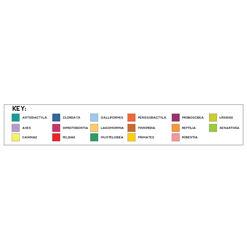 Periodic Table of Animals Poster image 8