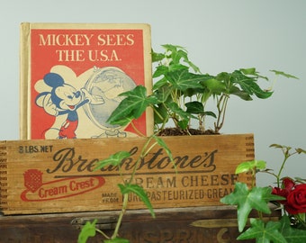 Four Unused 1930/'s to 1950/'s Colorful Advertising Cheese Labels for Repurpose Like Chedavale Empire Cheddar Box K-3 Pack #3