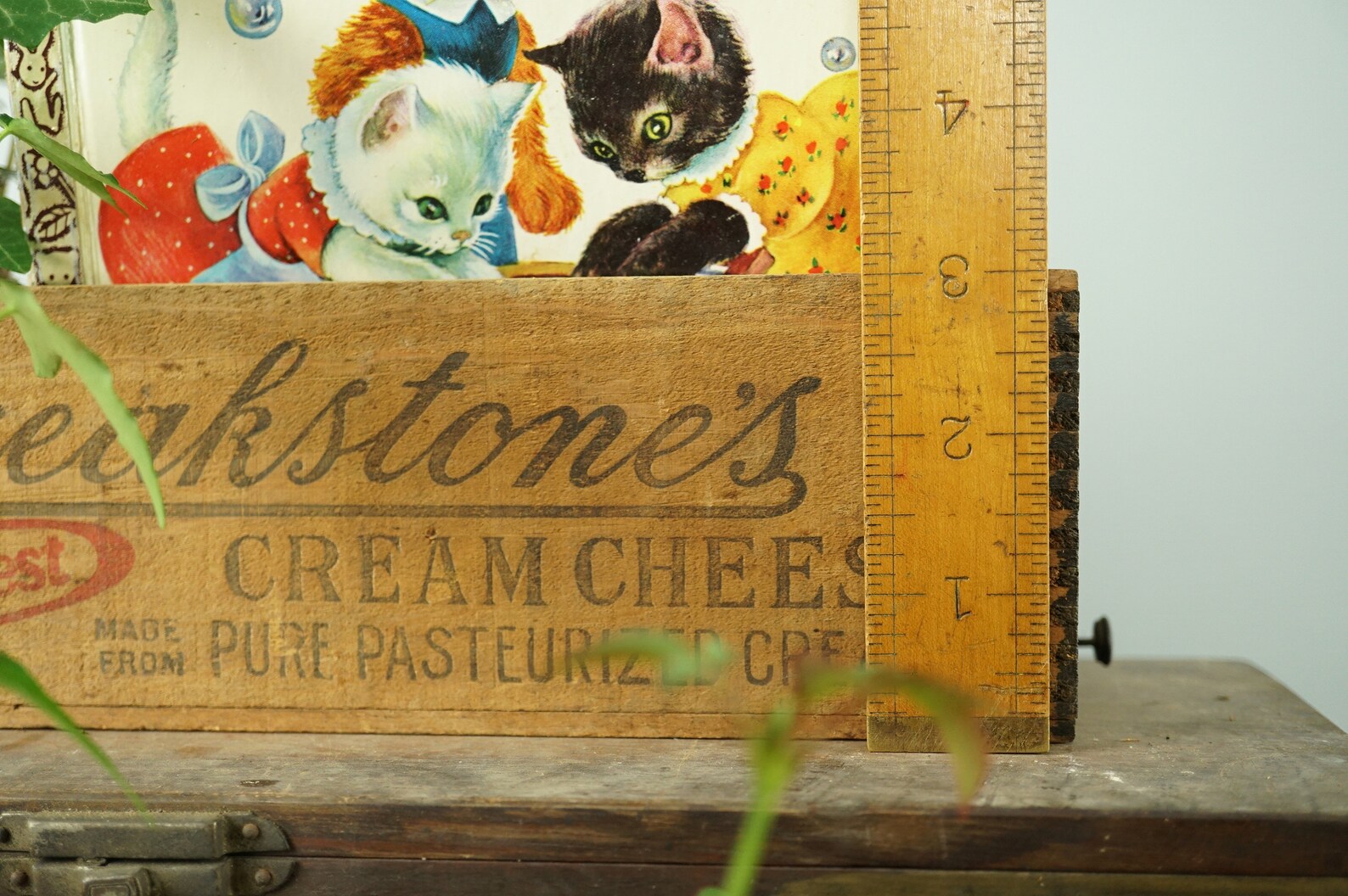 Cream Cheese Vintage Box 3 Pound / Vintage Advertisement / Etsy