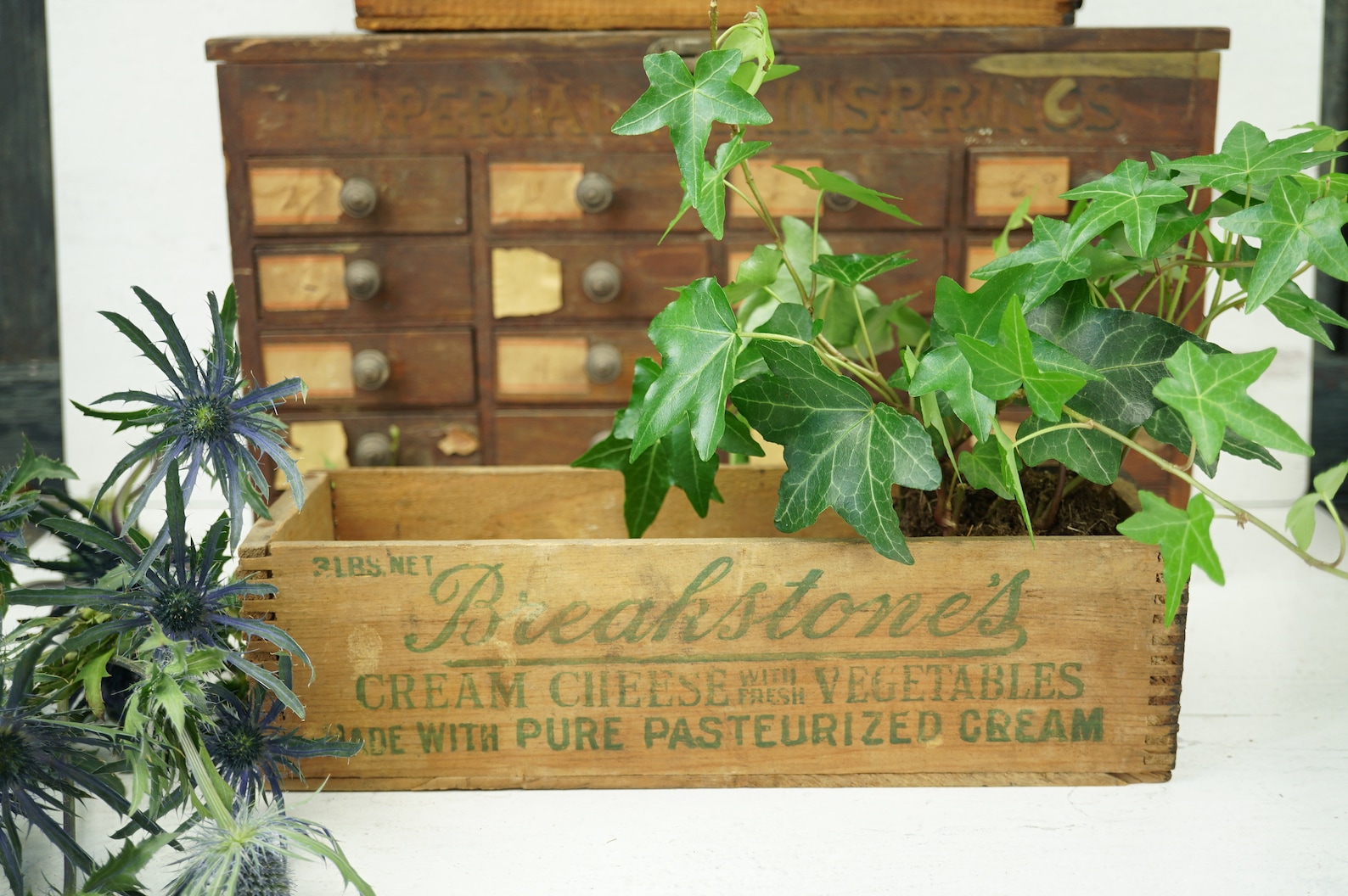 Cream Cheese Vintage Box 3 Pound / Vintage Advertisement / Etsy