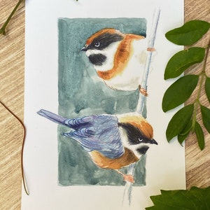 Print / Black-Throated Bushtit / Watercolor / 5x7 / / by Shellie Stanberry