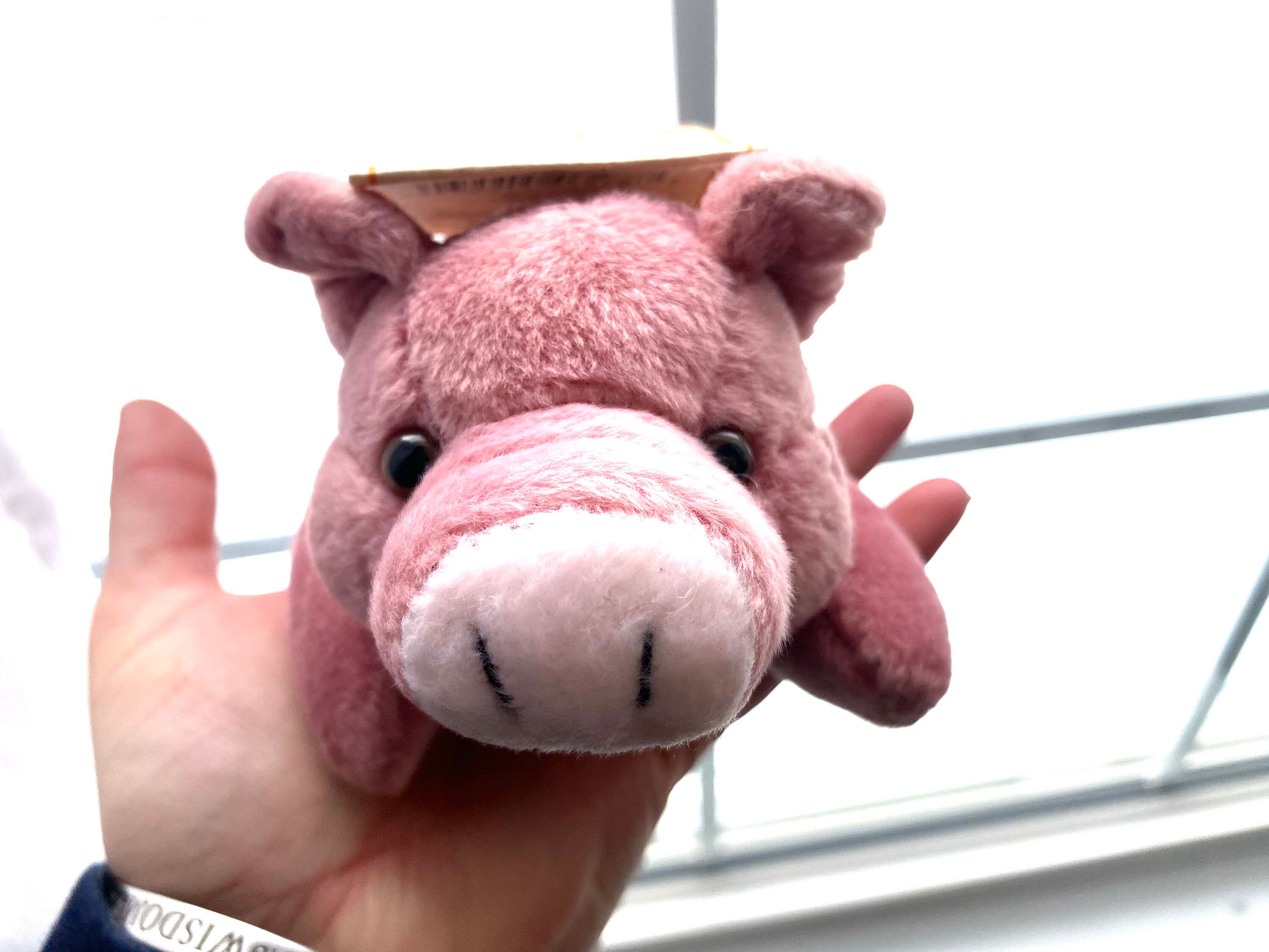 big piglet teddy