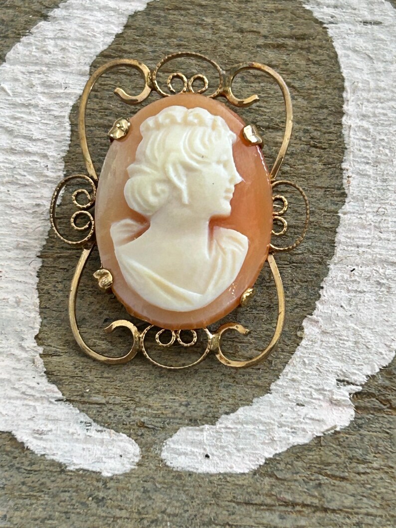 Pin by Diana Gaspar Pe a on cameo jewelry Vintage brooches Cameo