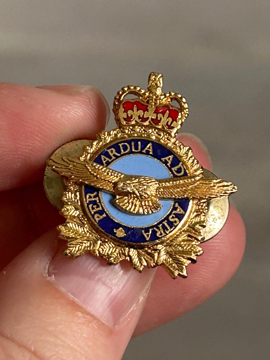 MILITARY SOLDIER Pin, Gold Pin, Vintage Pin, Ardua per Astria, Gift for ...