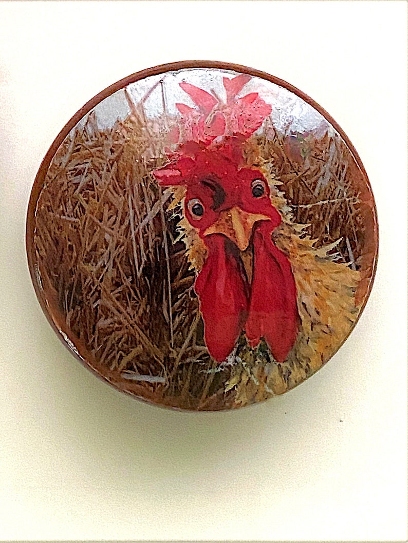 Country Farmhouse Knobs Decor Curious Rooster, Decor, Kitchen Cabinet Knobs Pantry Drawer and Cabinet Knobs, Bathroom Decor, Chicken Decor image 1