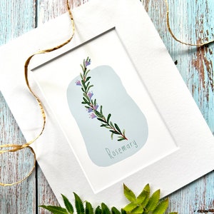 Kunstdruck, Wandkunst, Rosmarin, Küchenkunst, mintgrün, Kräuterkunst, Geschenk für Koch, Einweihungsparty Geschenk