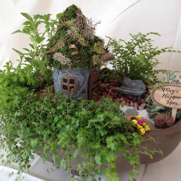 Create you own fairy garden