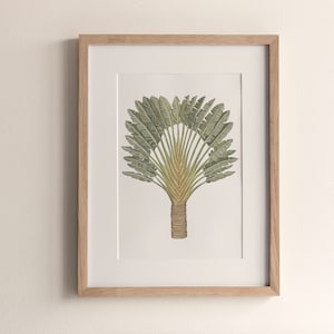 Digital Download, Travellers Palm, Printable, Print it yourself,  Wall Art, Australian Palm, Coastal Art, Palm Tree, Beach house art