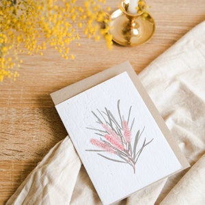 Seeded Card // Emu Tree // Plantable Card // Australian Native Seeds // Seeded Paper