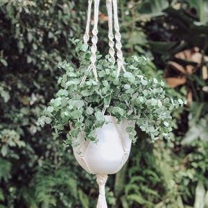 Macrame Plant Hanger with 8” White Pot