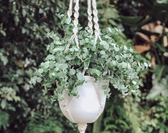 Macrame Plant Hanger with 8” White Pot