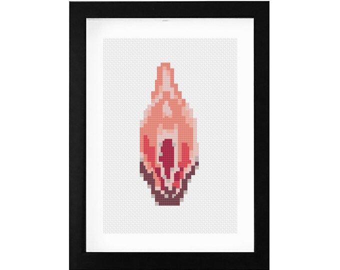 5x7 - Anatomical Vagina Decorative Cross Stitch Art with Frame