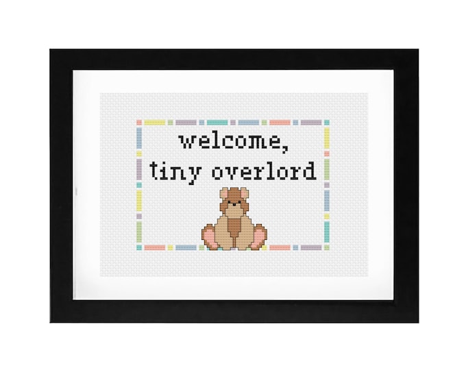 5x7 - "Welcome, Tiny Overlord" Decorative Cross Stitch Art with Frame