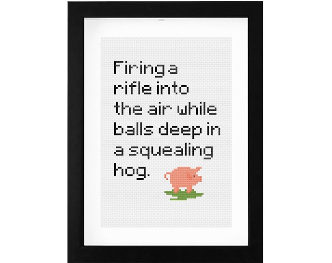 5x7 - Cards Against Humanity inspired Decorative Cross Stitch Art with Frame