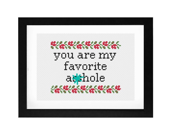 5x7 - "You are my favorite A**hole" decorative cross stitch.