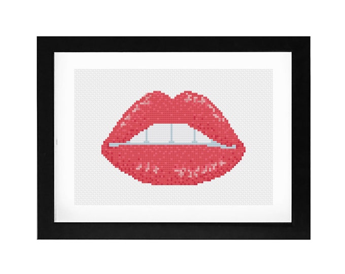 5x7 - Anatomical DSL Puckered Lips Decorative Cross Stitch Art with Frame
