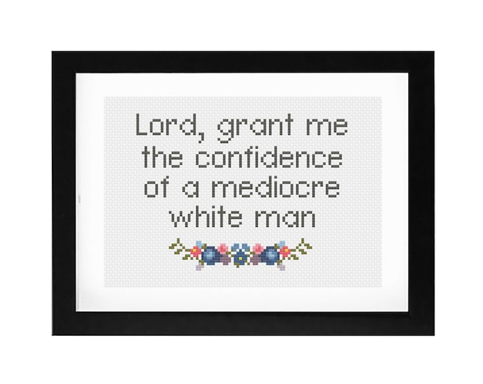 5x7 - "White Male Privilege" Decorative Cross Stitch Art with Frame