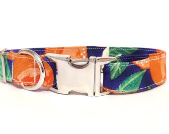 Summer oranges leaves blue dog collar - "Mimosa Mornings"