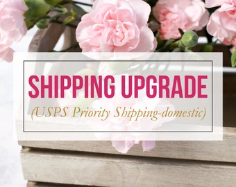 Shipping Upgrade for Anne Geltzeiler (etsy username anniegeltzeiler)