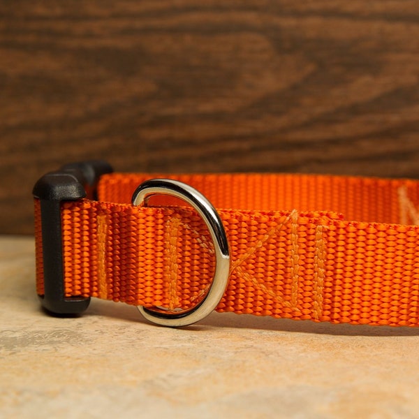 Orange Dog Collar Etsy