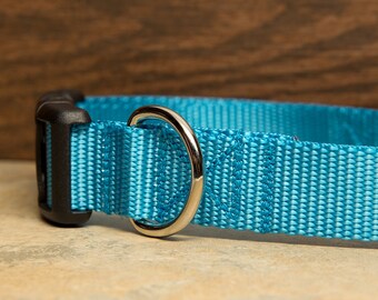 Ice Blue Dog Collar