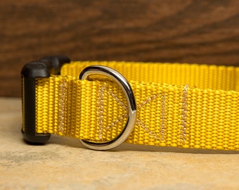 Yellow Dog Collar