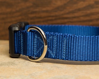 Royal Blue Dog Collar