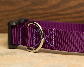 Purple Dog Collar