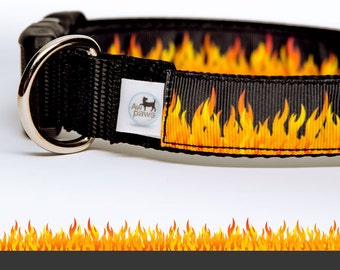 Fire Dog Collar