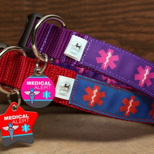 Matching Medical Alert  - Dog Collar and Pet ID Tag