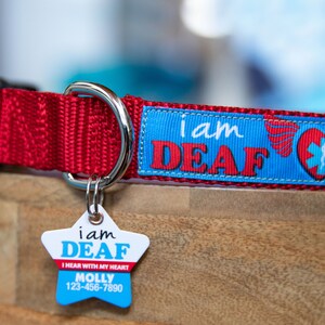 Matching Deaf Alert ID Tag & Dog Collar