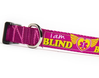 I Am BLIND Dog Collar