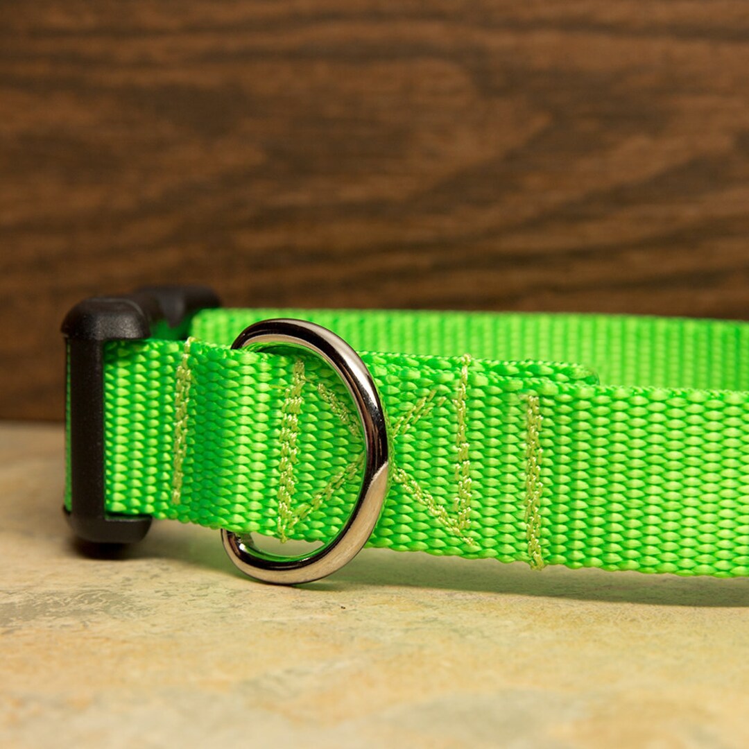 Lime Green Dog Collar Etsy