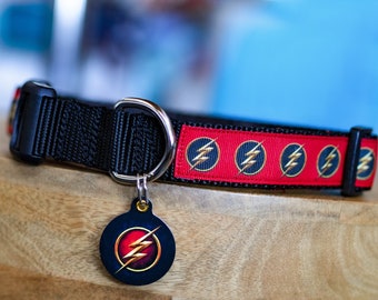 Matching Flash Pet ID Tag and Collar