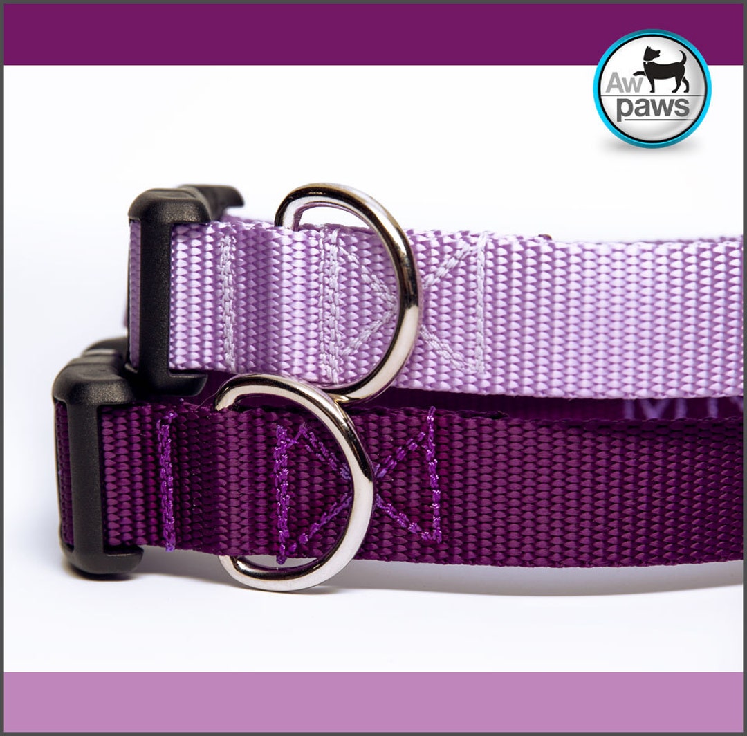 Solid Color Dog Collar Purple Etsy