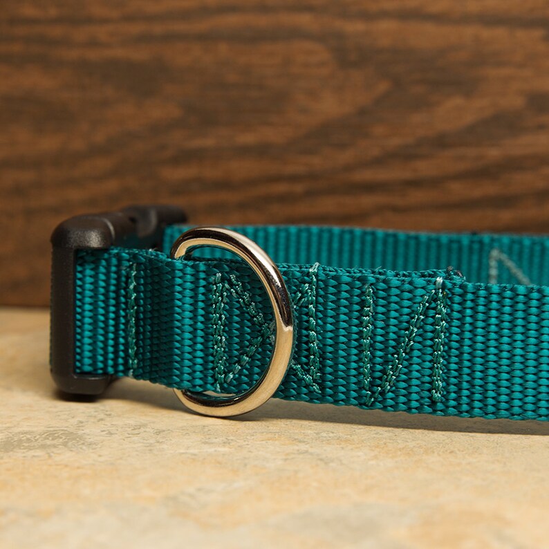 Teal Dog Collar Etsy
