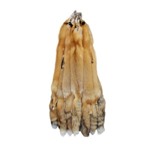 Glacier Wear Premium Label Wild Arctic Red Fox Fur Pelt - fxx7010