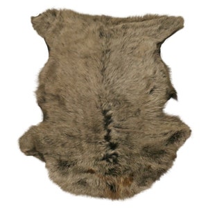 May include: A brown sheepskin rug with a natural, fluffy texture. The rug has a dark brown center and lighter brown edges.