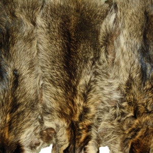 May include: Three raccoon pelts with brown, black, and gray fur. The pelts are arranged side by side, with the fur facing outwards.